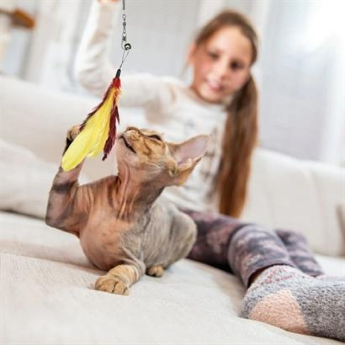 Teleskopik Tüylü ve Çanlı Boyu Ayarlanabilir Elastik Eğlenceli Peluş Kedi Oyun Oltası