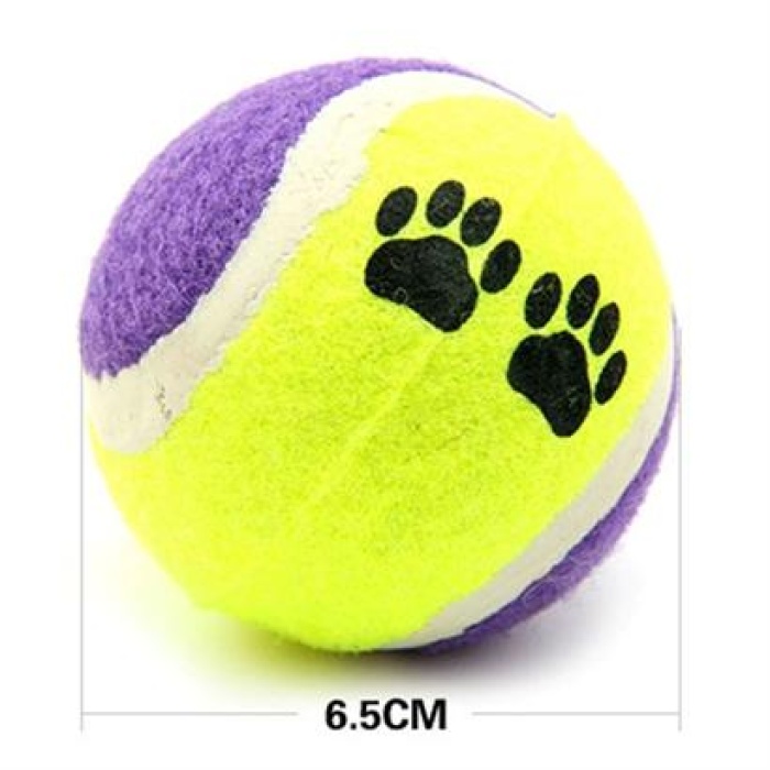 3 lü Renkli Desenli Tenis Topu Kedi Köpek Oyuncağı