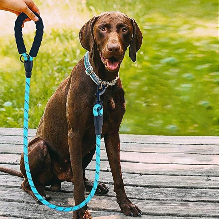 Reflektörlü Fosforlu Köpek Gezdirme Halatı Tasma Kayışı Metal Kancalı 130 cm