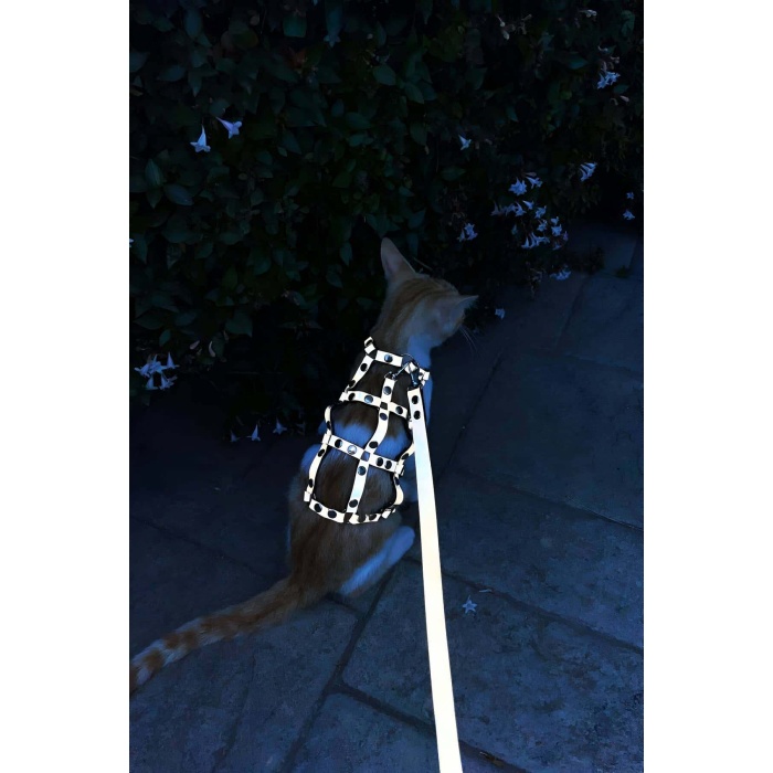 Renkli Reflektör Karanlıkta Parlayan Şık Kedi Harness, Kedi Yürüme Tasması, Kedi Güvenlik Tasması