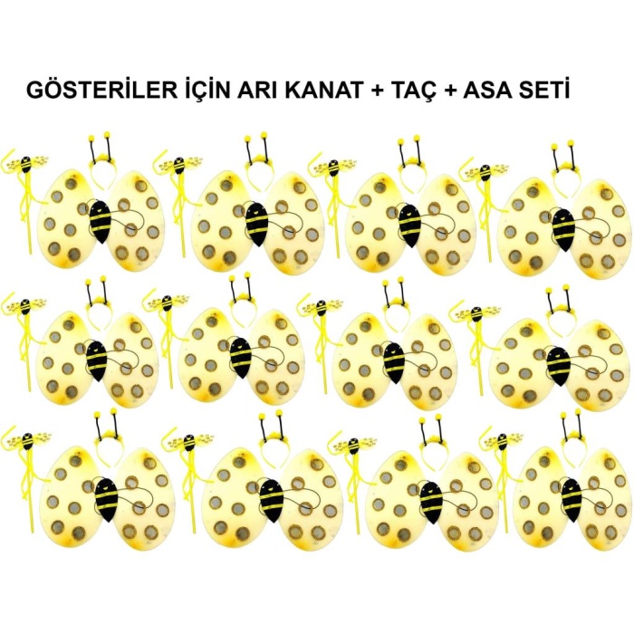Okul Gösterileri için 12&#39;li Arı Kanadı Seti - Etkinlik Kanatları
