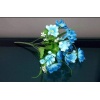 Yapa Begonya Çiçek - Mavi