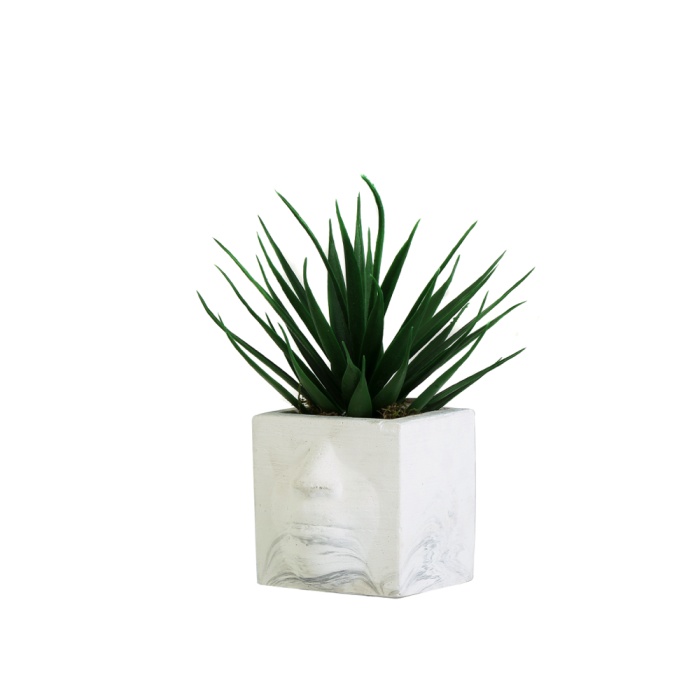 Aloe Vera Bitkili Yüz Model Beton Saksı
