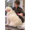 23 KG Üzeri Uzun Tüylü Köpekler İçin Tüy Toplayıcı Ergonomik Tarak 