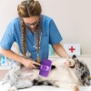 Otomatik Temizlenebilen Tuşlu Pratik Kedi Köpek Tüy Toplama Fırçası 