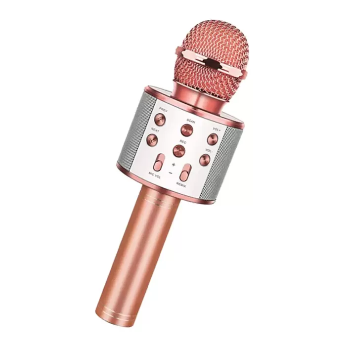 Bluetooth Karaoke Mikrofon 
