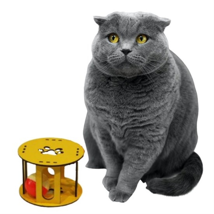 Ahşap Kafes Renkli Toplu Kedi Patisi Desenli Sesli Kedi Oyuncağı 