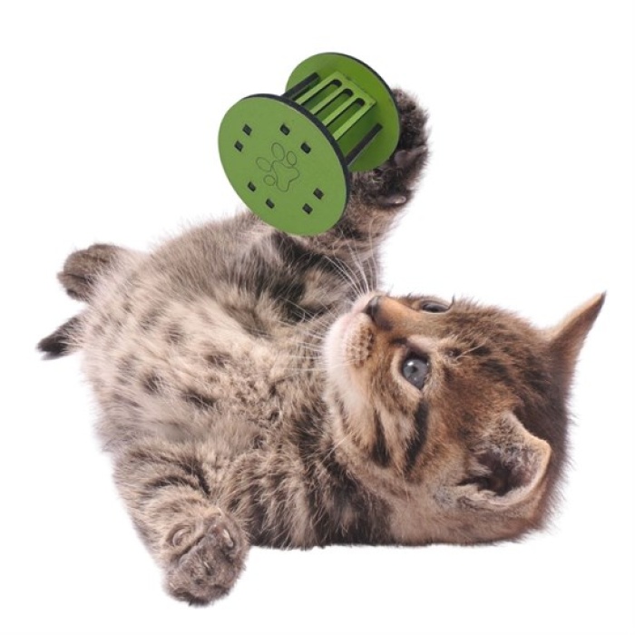 Mini Silindir Eğlenceli Renkli Sağlam Küçük Pati İzi Şekilli Kedi Oyuncağı 