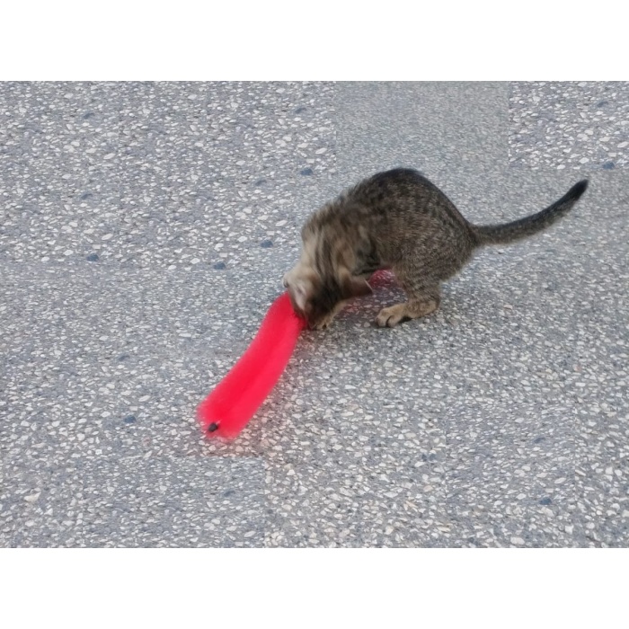 Kedi Tırmalama Fırçası - Kedi Oyuncağı 