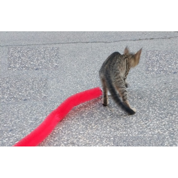 Kedi Tırmalama Fırçası - Kedi Oyuncağı 