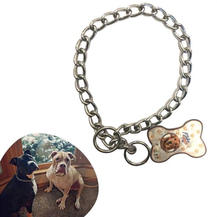 65 cm Uzunlukta Zincir Model Köpek İçin Boyun Tasması 
