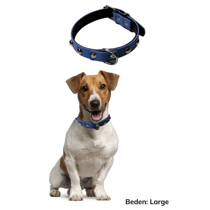 Yumuşak Dokulu Deri Köpek Gezdirme Boyun Tasması (Large) 