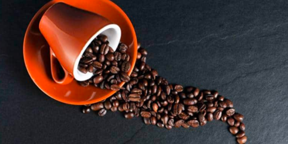 Kahve Çekirdekleri Karşımıza Nasıl Çıkar?