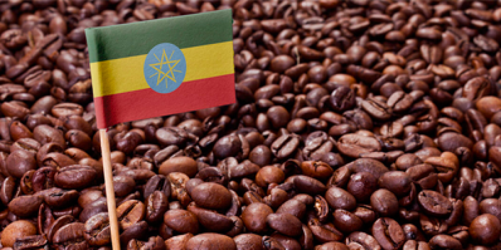 Yöresel Kahve Çeşitleri Nedir? Etiyopya Kahvesini İnceleyelim