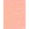 BB LIP CORRECTOR 02