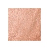 TERRACOTTA BLUSHER 01  PLEASURE