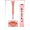 BB LIP CORRECTOR 04