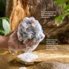 BALMY ODUNSU SABUNLU BANYO LİFİ