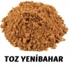 Toz Yenibahar (100 Gr)