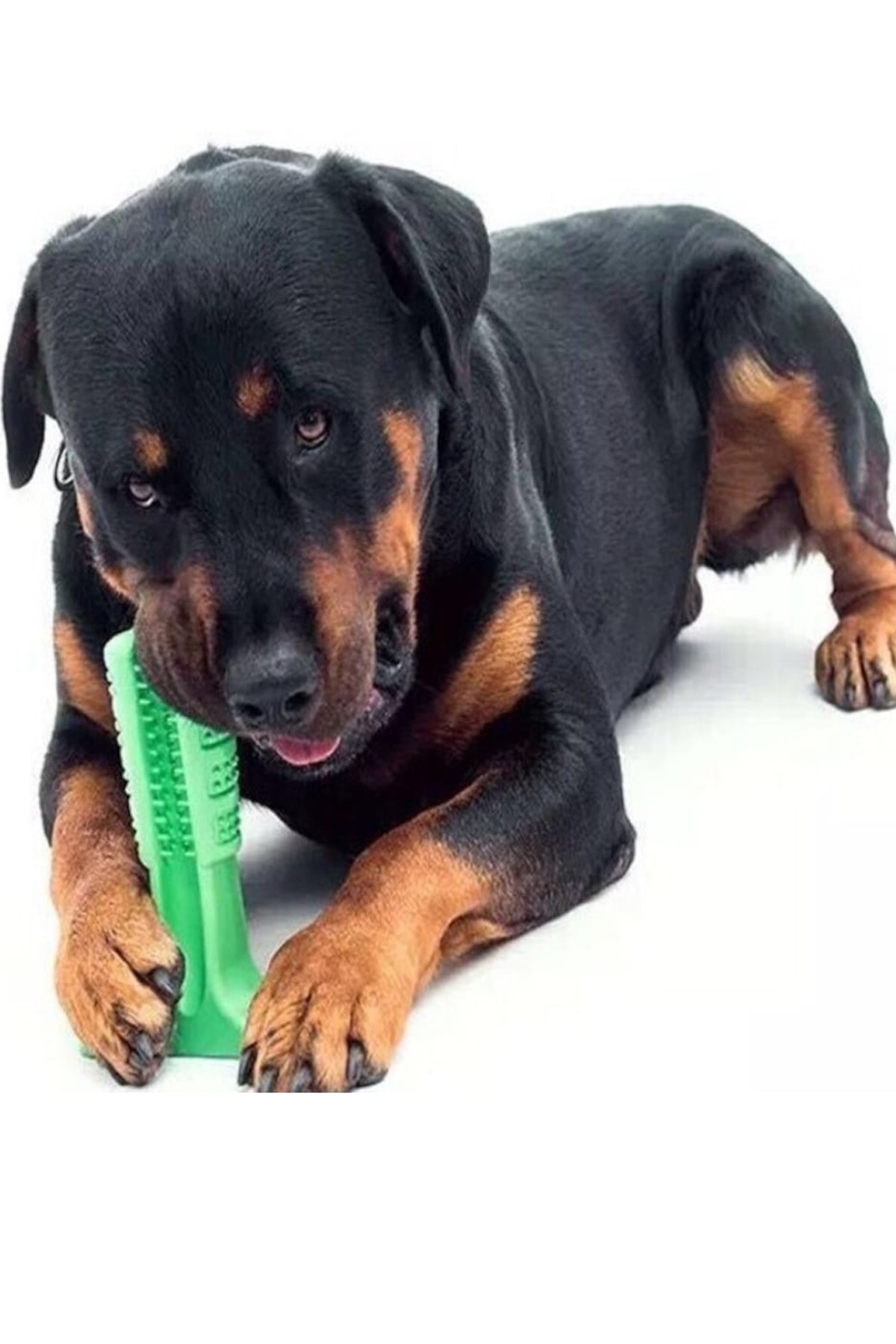Küçük Boy Köpek Diş Fırçası, Isırma Aparatı, Diş Kaşıma Oyuncağı