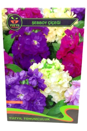 Yüzyıl Şebboy Çiçeği Tohumu*10X1 - 18-0506 - 2345