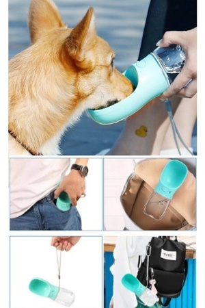 Yeni Nesil Kedi Köpek Suluğu Sızdırmaz 350ml Seyahat Su Şişesi Kaseli Turkuaz