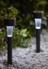 Kolay Yere Saplanır Bahçe Solar Lamba 10 Lu Set