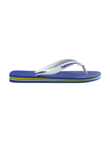 Havaianas Erkek Plaj Terlik - Lacivert