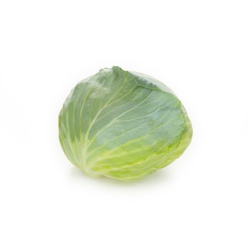 Madalya RZ F1 (30-WC728) Beyaz Lahana Fidesi