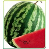 Crimson Sweet Ala (Pijamalı) Karpuz Tohumu (500 Gr)