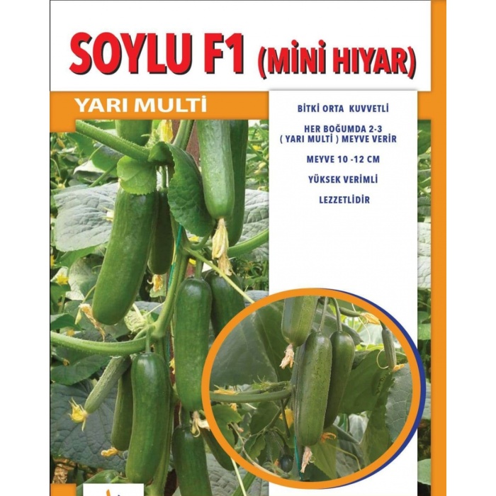 Soylu F1 (Badem) Silör Hıyar Tohumu