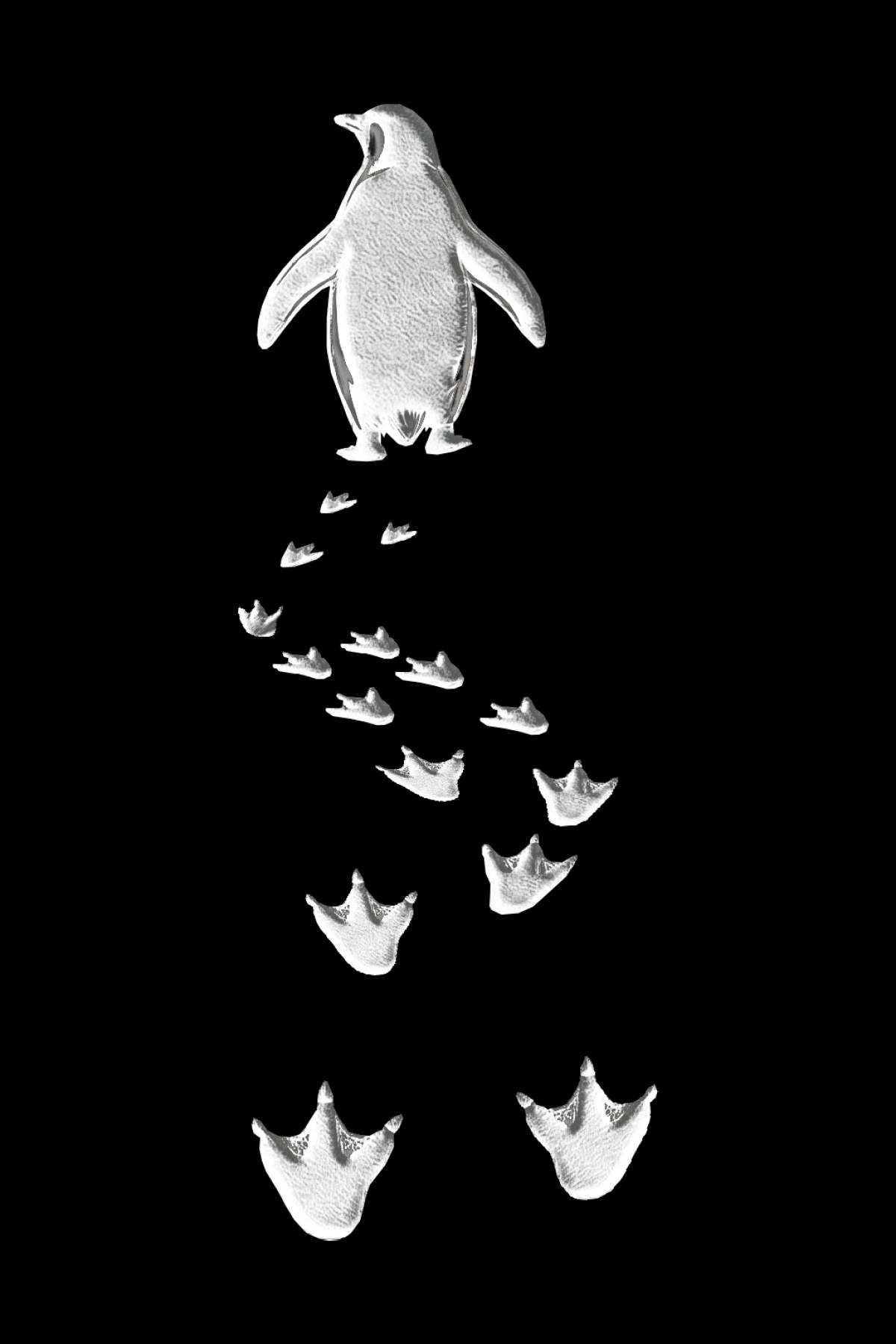 Kadın Nihilist Penguen Temalı Oversize Kapüşonlu Sweatshirt - Siyah