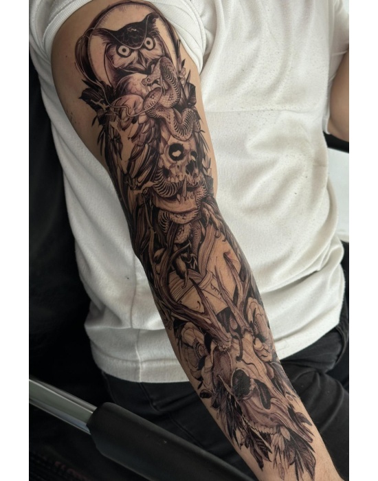 Geçici Baykuş Ve Kuru Kafa Figürlü Dövme Tattoo