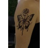 Geçici Kelebek Figürlü Dövme Tattoo