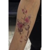 Geçici Kelebek Figürlü Dövme Tattoo