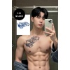 Kurt Figürlü 12 Saat Sonra Kararan Geçici Dövme Tattoo
