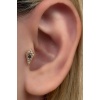 Altın Renk Taş Detaylı Çelik Tragus/Kıkırdak Küpe/Piercing (Tek)
