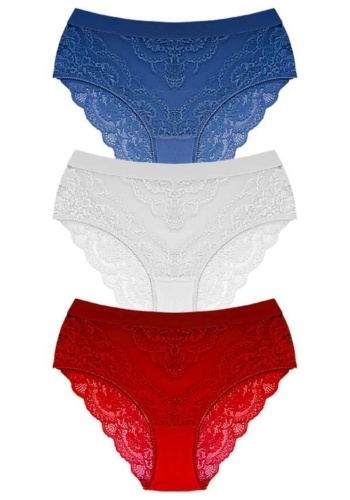 Dantelli Arkası Transparan Büyük Beden Bikini Külot CH6053