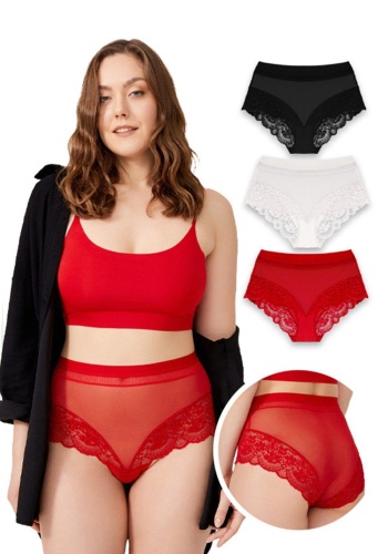 Dantel Detaylı Transparan Büyük Beden Bikini Külot CH6059