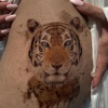 Geçici Kaplan Dövme Tattoo