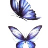 Geçici Kelebek Figürlü Mini Dövme Tattoo