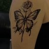 Geçici Kelebek Figürlü Dövme Tattoo