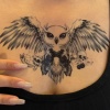 Geçici Baykuş Dövme Tattoo