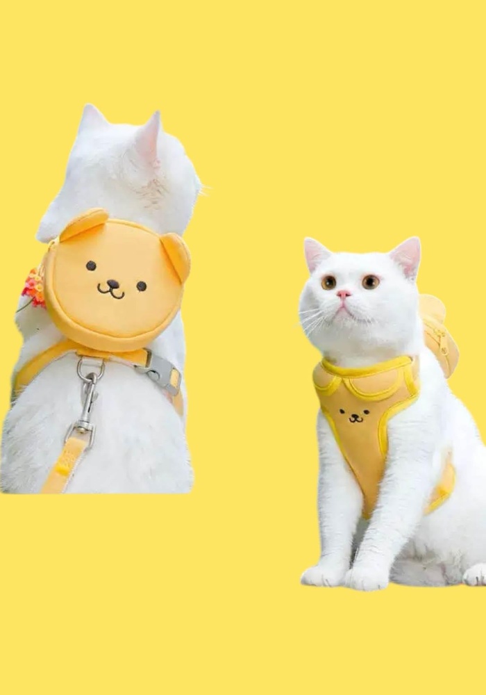 Sarı Renk Ayıcık Figürlü Çanta Detaylı Bel Göğüs Ayarlanabilir Kedi/Köpek Tasma