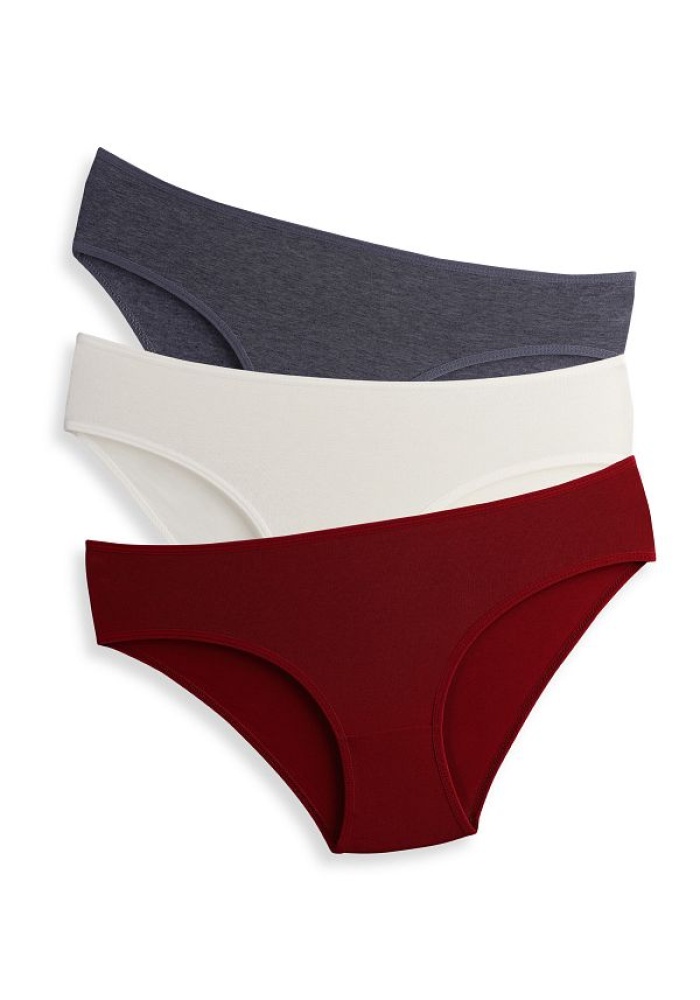 Taffy Kadın Mint Bordo Yüksek Bel Pamuklu Likralı 3lü Paket