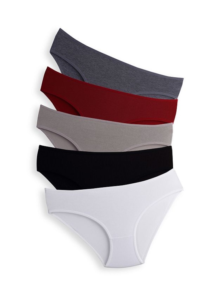 Taffy Kadın Bordo Yüksek Bel Külot Pamuklu Likralı 5li Paket