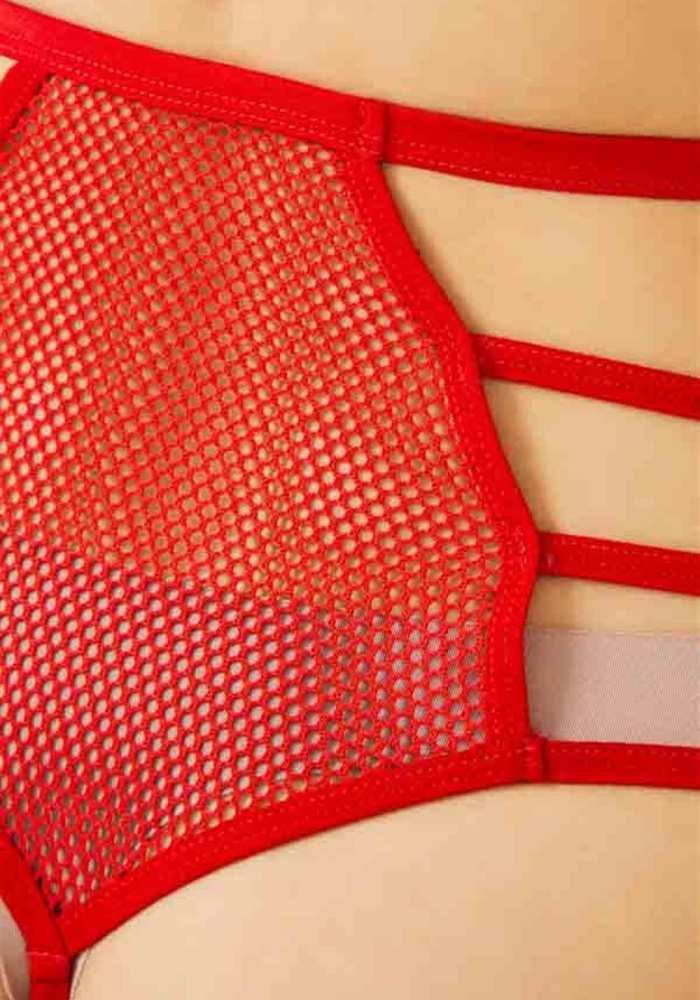 Transparan Fileli Taş ve Lastik Detaylı Yüksek Bel Kadın String Külot CH6123