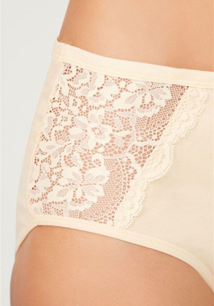 Büyük Beden Dantelli Klasik Pamuk Kadın Bato Big Size Bikini  Külot CH0740