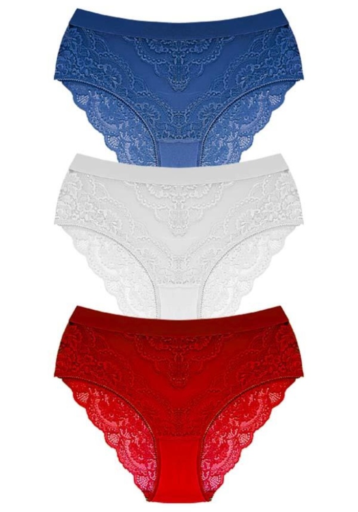 Dantelli Arkası Transparan Büyük Beden Bikini Külot CH6053