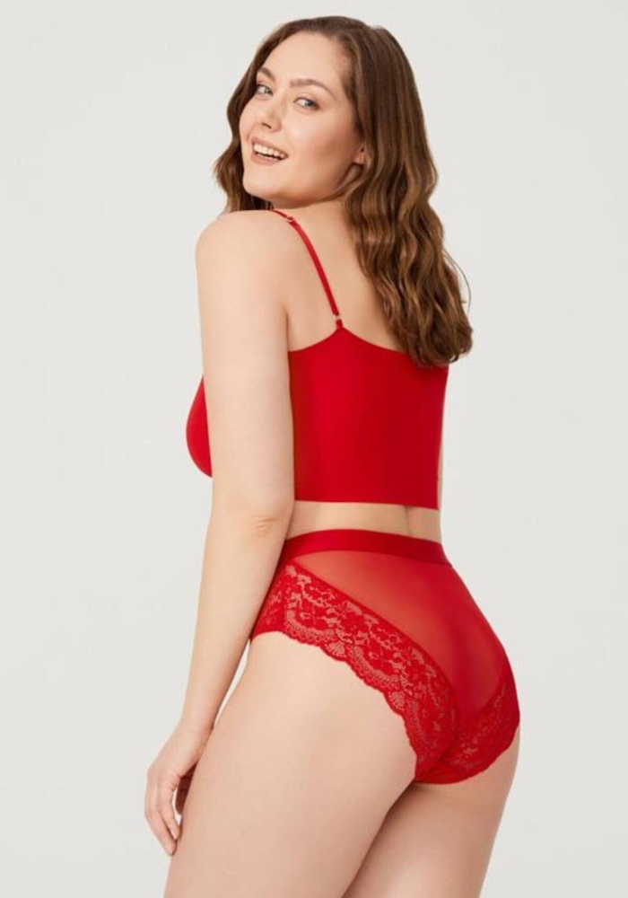 Dantelli Arkası Transparan Büyük Beden Bikini Külot CH6053